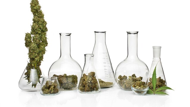 Getty marijuana lab setting