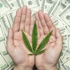 Holding hemp money wide