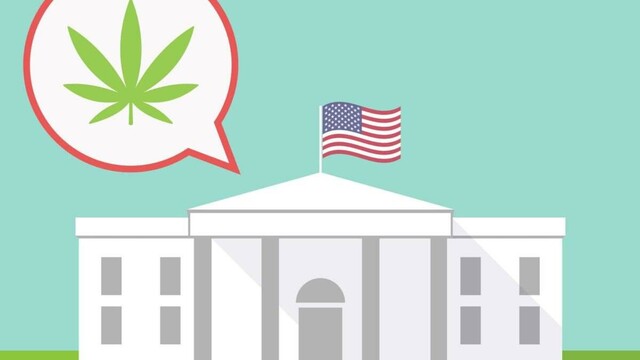 White house marijuana med 1200x943